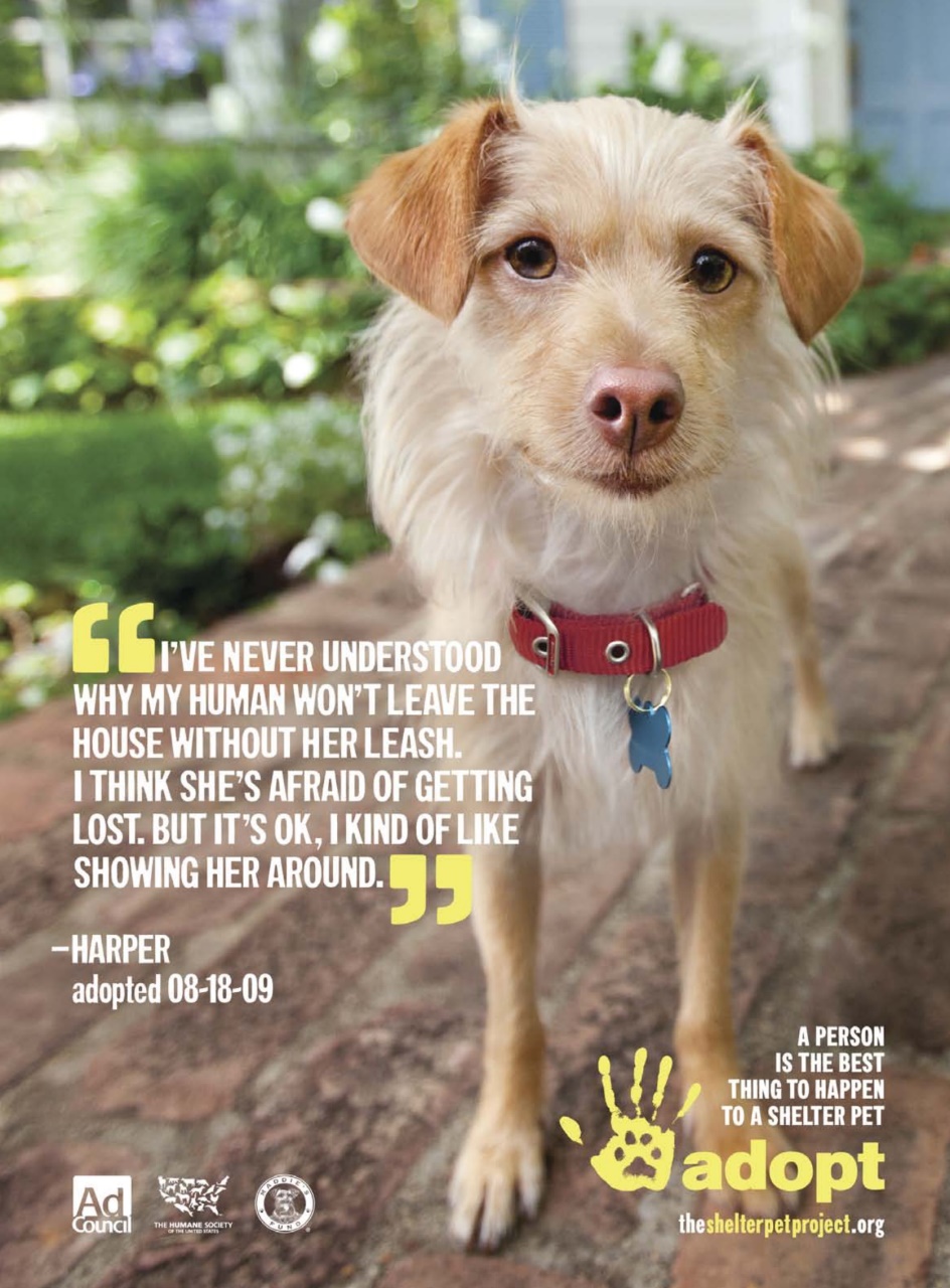 COINage Magazine Preview Pages