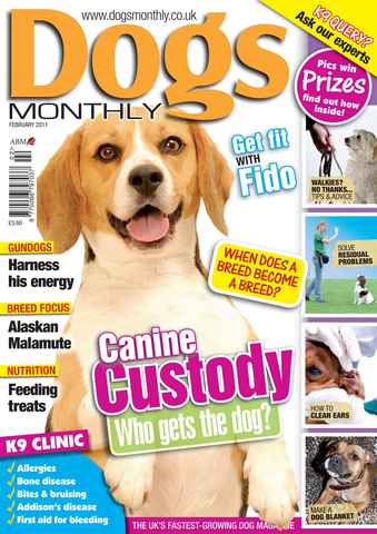 Dogs Monthly issue February 2011