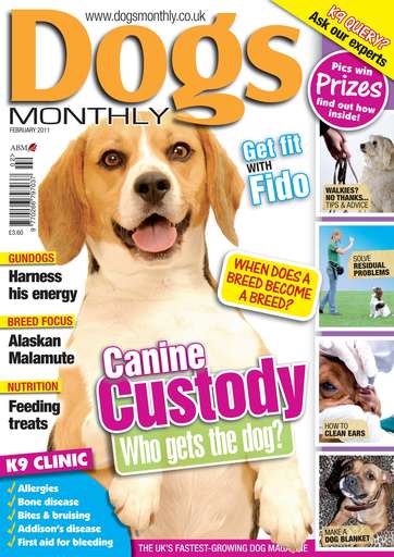 Dogs Monthly issue 