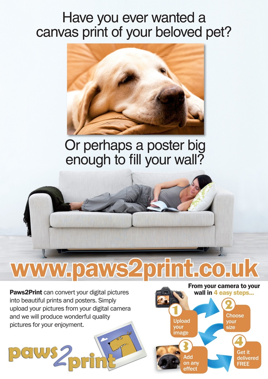 Dogs Monthly Preview Pages