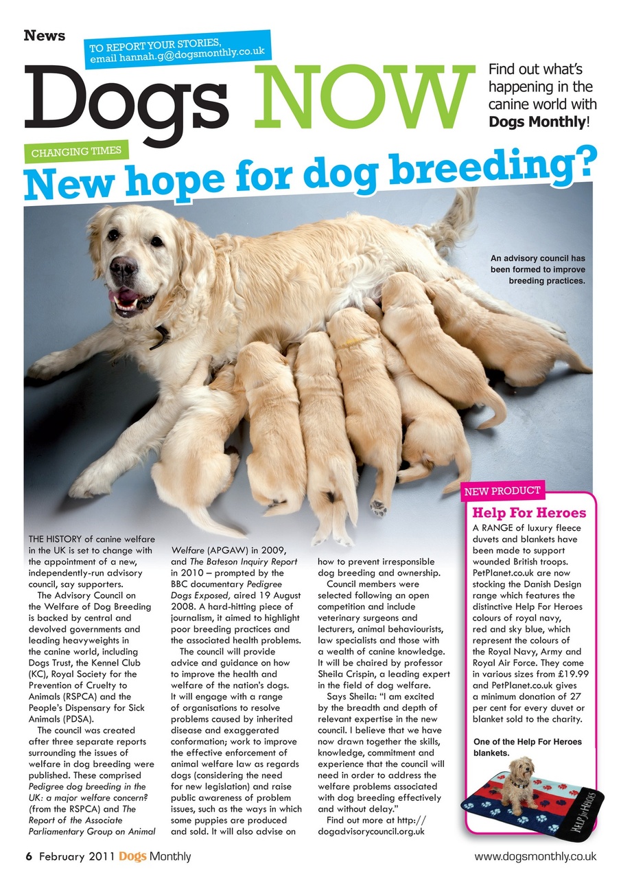Dogs Monthly Preview Pages