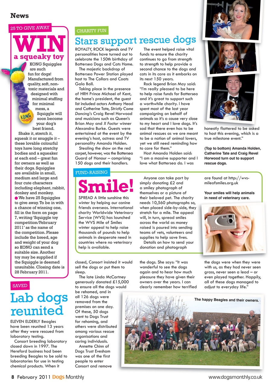 Dogs Monthly Preview Pages