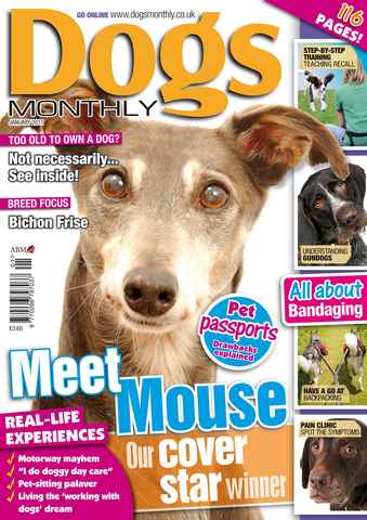Dogs Monthly issue January 2011