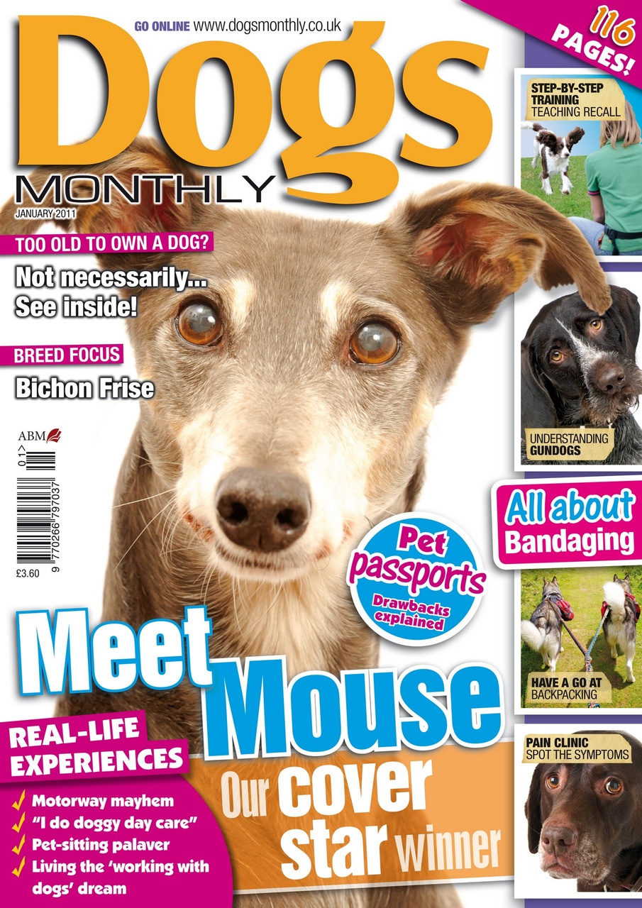 Dogs Monthly Preview Pages