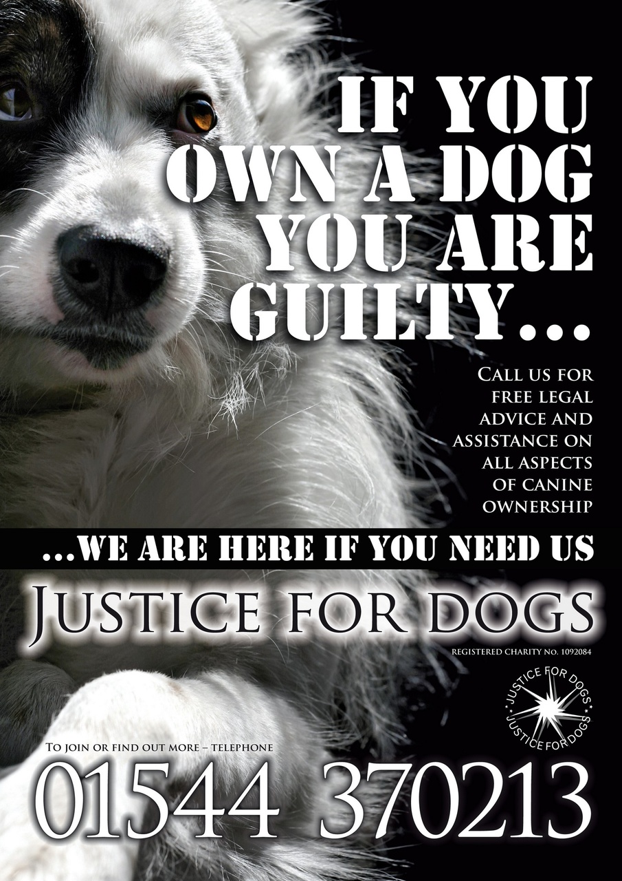 Dogs Monthly Preview Pages