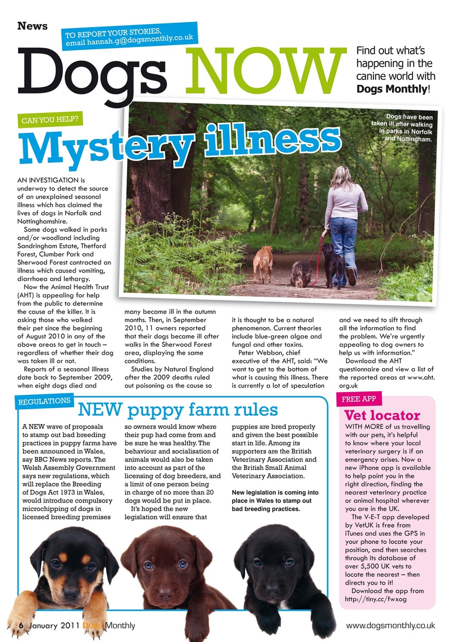 Dogs Monthly Preview Pages