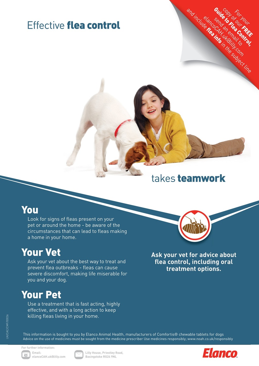 Dogs Monthly Preview Pages