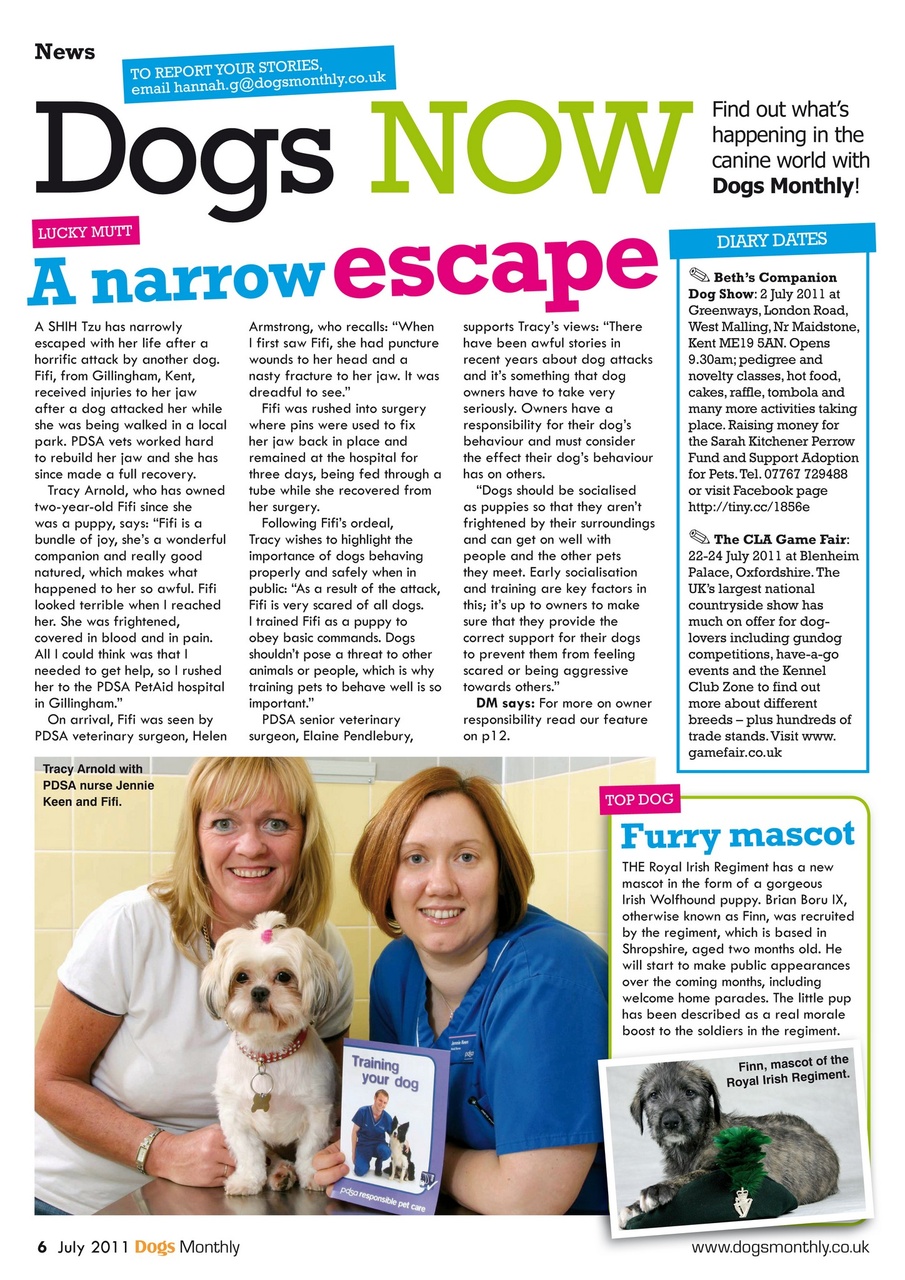 Dogs Monthly Preview Pages