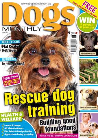 Dogs Monthly issue June 2011