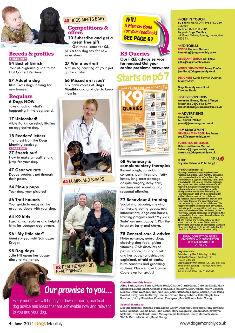 Dogs Monthly Preview Pages