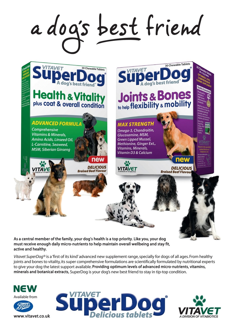 Dogs Monthly Preview Pages