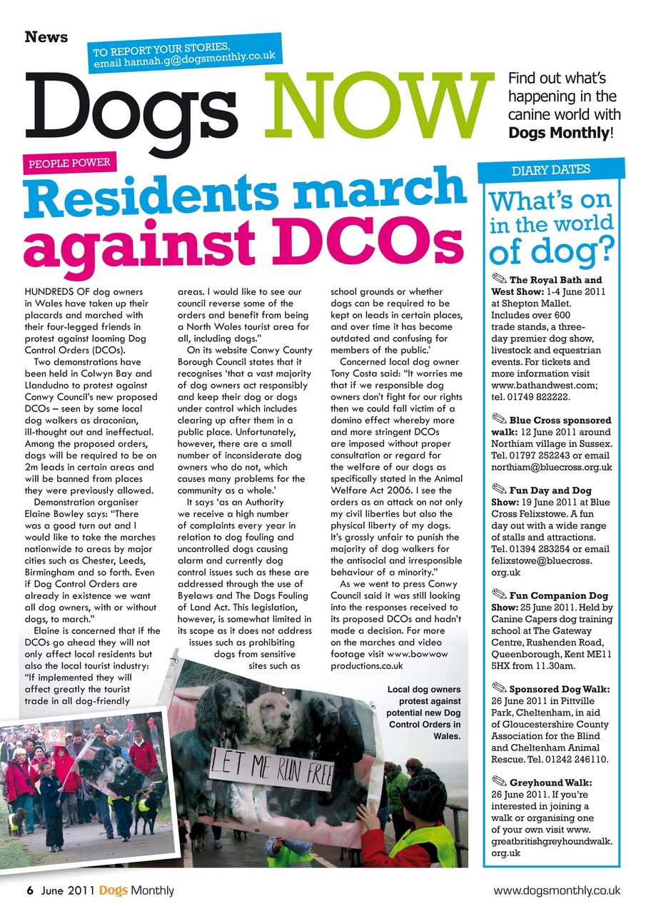Dogs Monthly Preview Pages