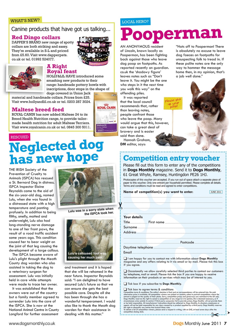 Dogs Monthly Preview Pages
