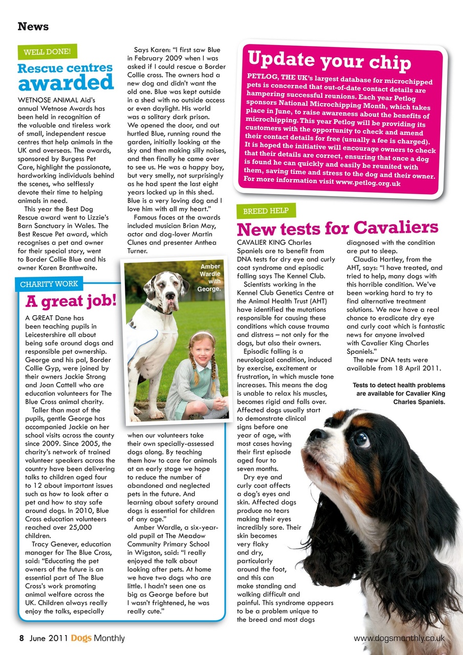 Dogs Monthly Preview Pages