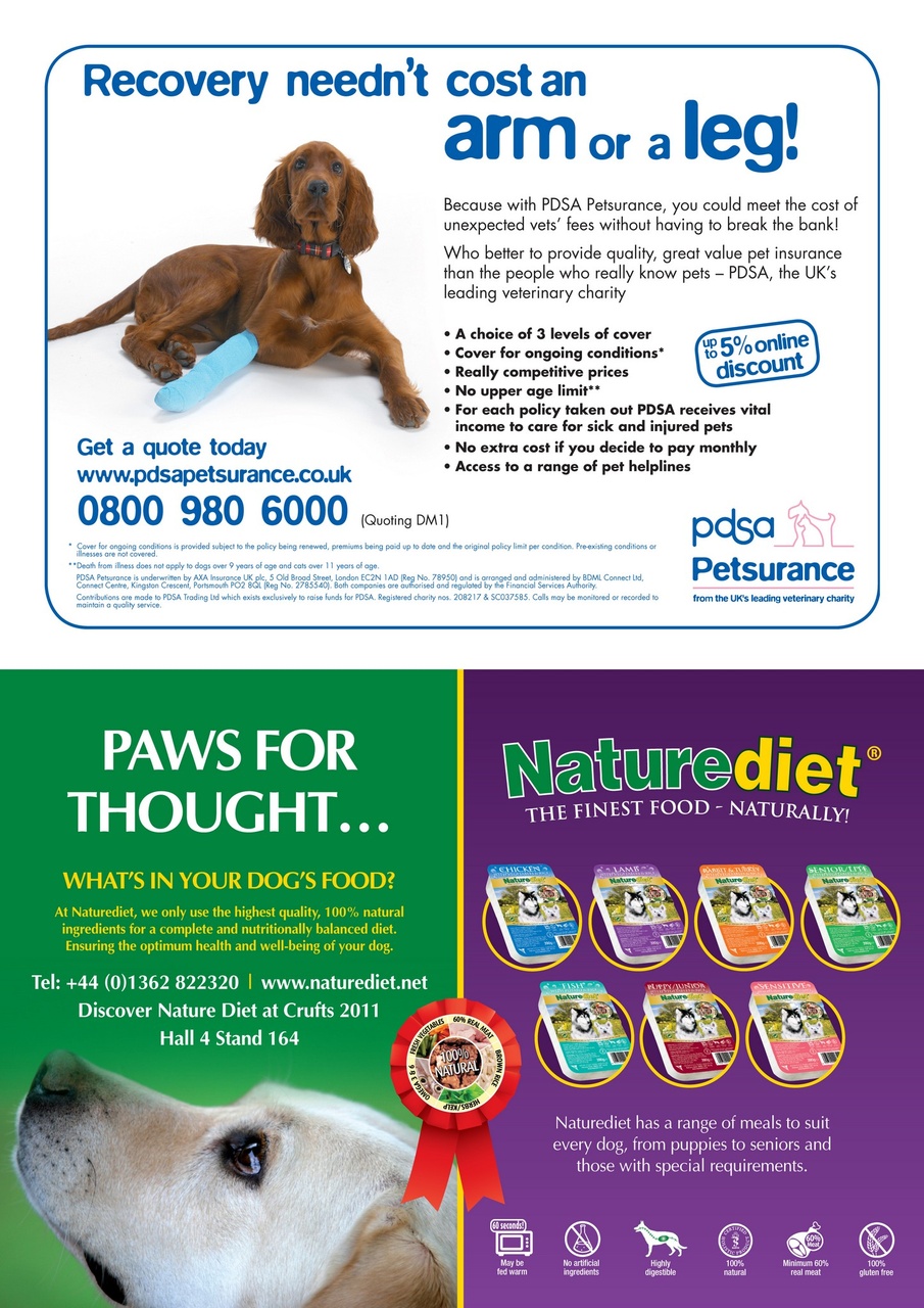 Dogs Monthly Preview Pages