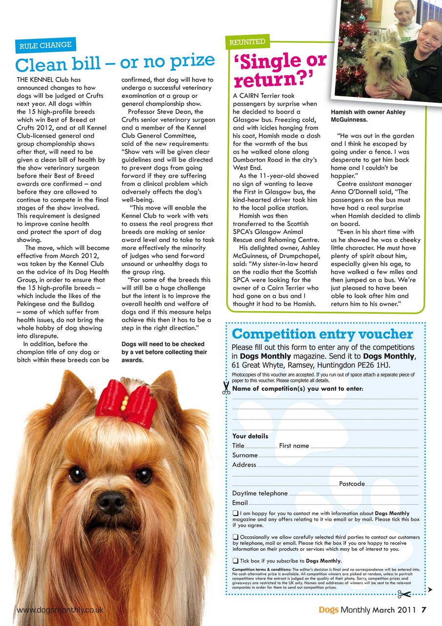 Dogs Monthly Preview Pages
