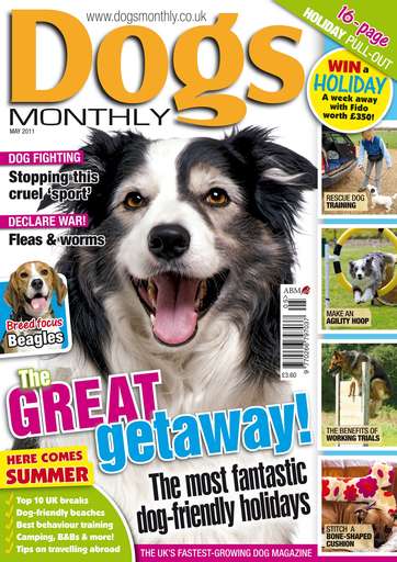 Dogs Monthly issue 
