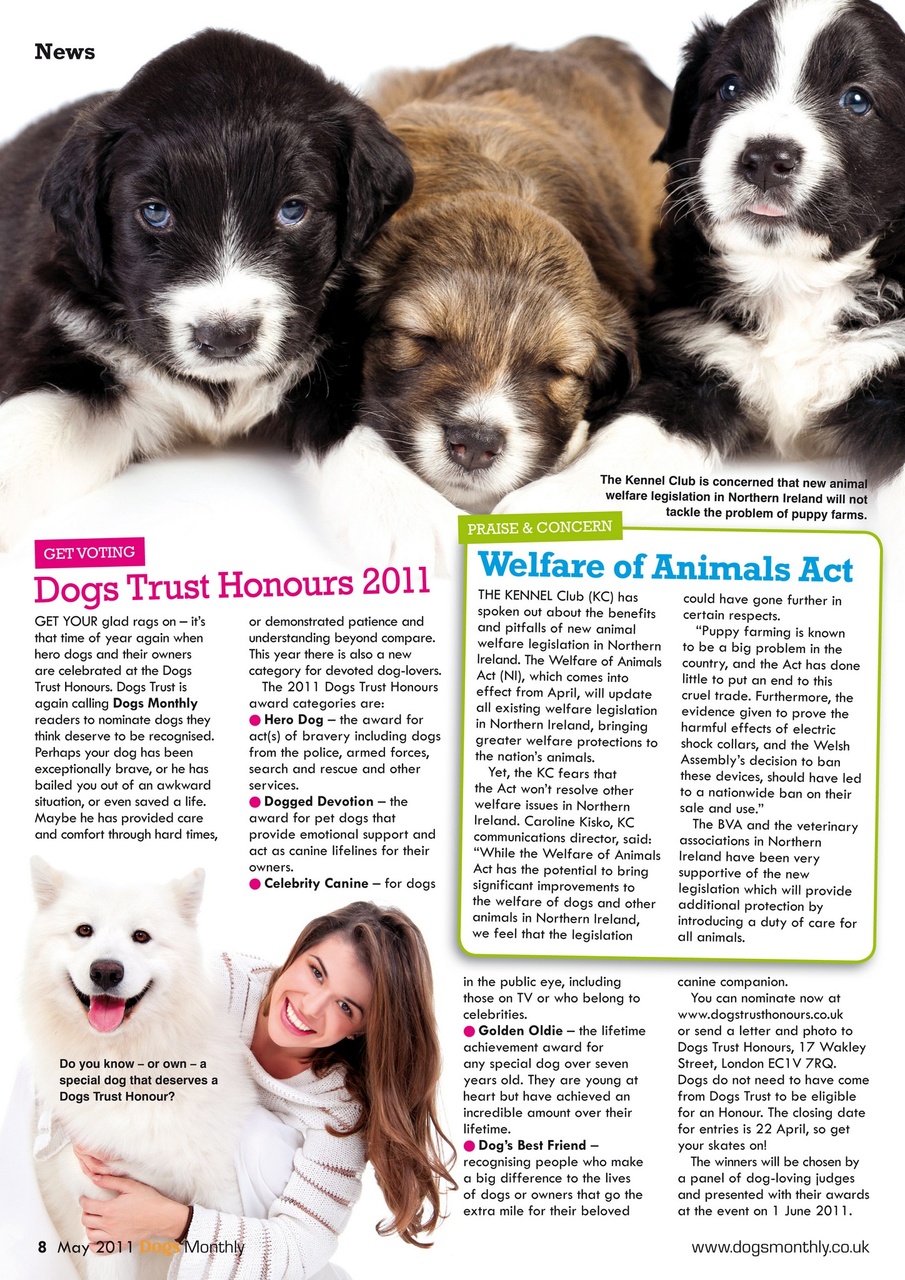 Dogs Monthly Preview Pages