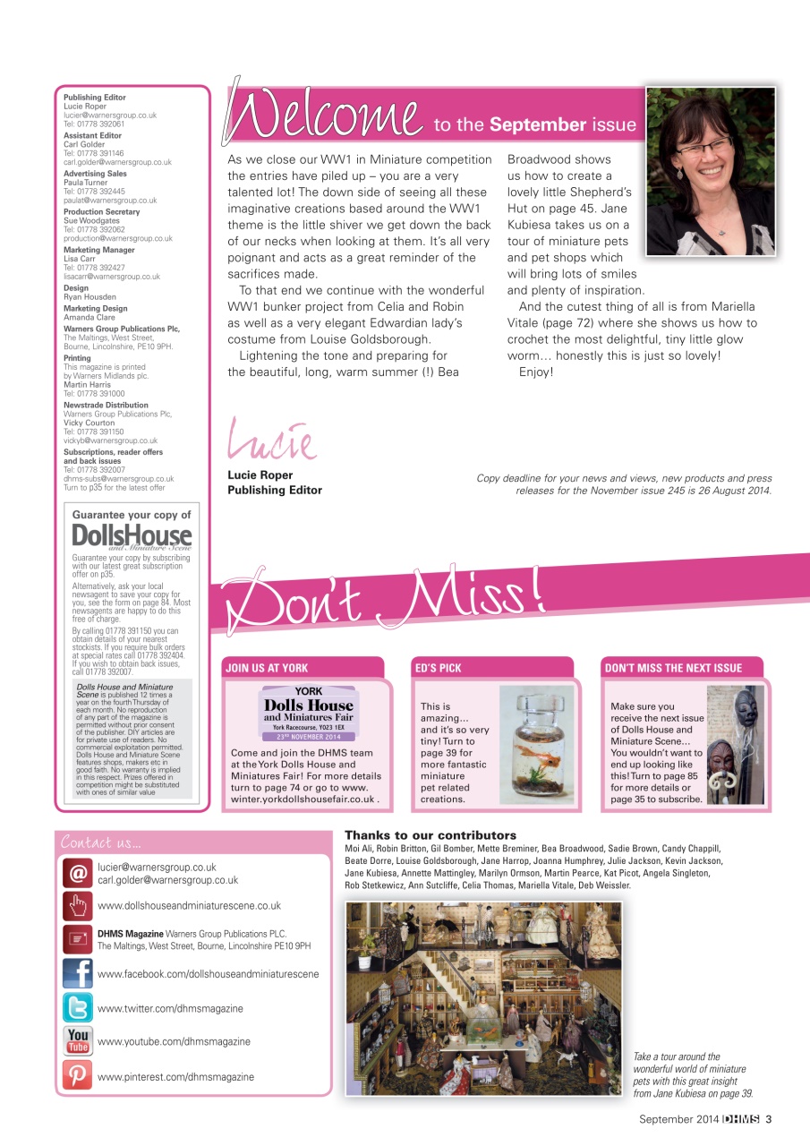 Dolls House and Miniature Scene Preview Pages