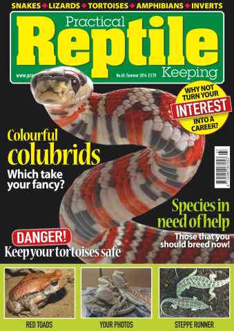 Practical Reptile Keeping issue No.65 Colourful Colubrids
