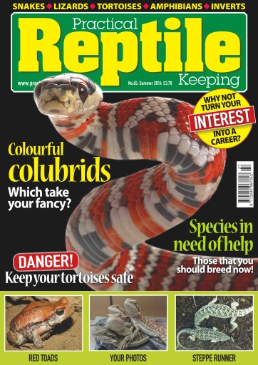 Practical Reptile Keeping issue 