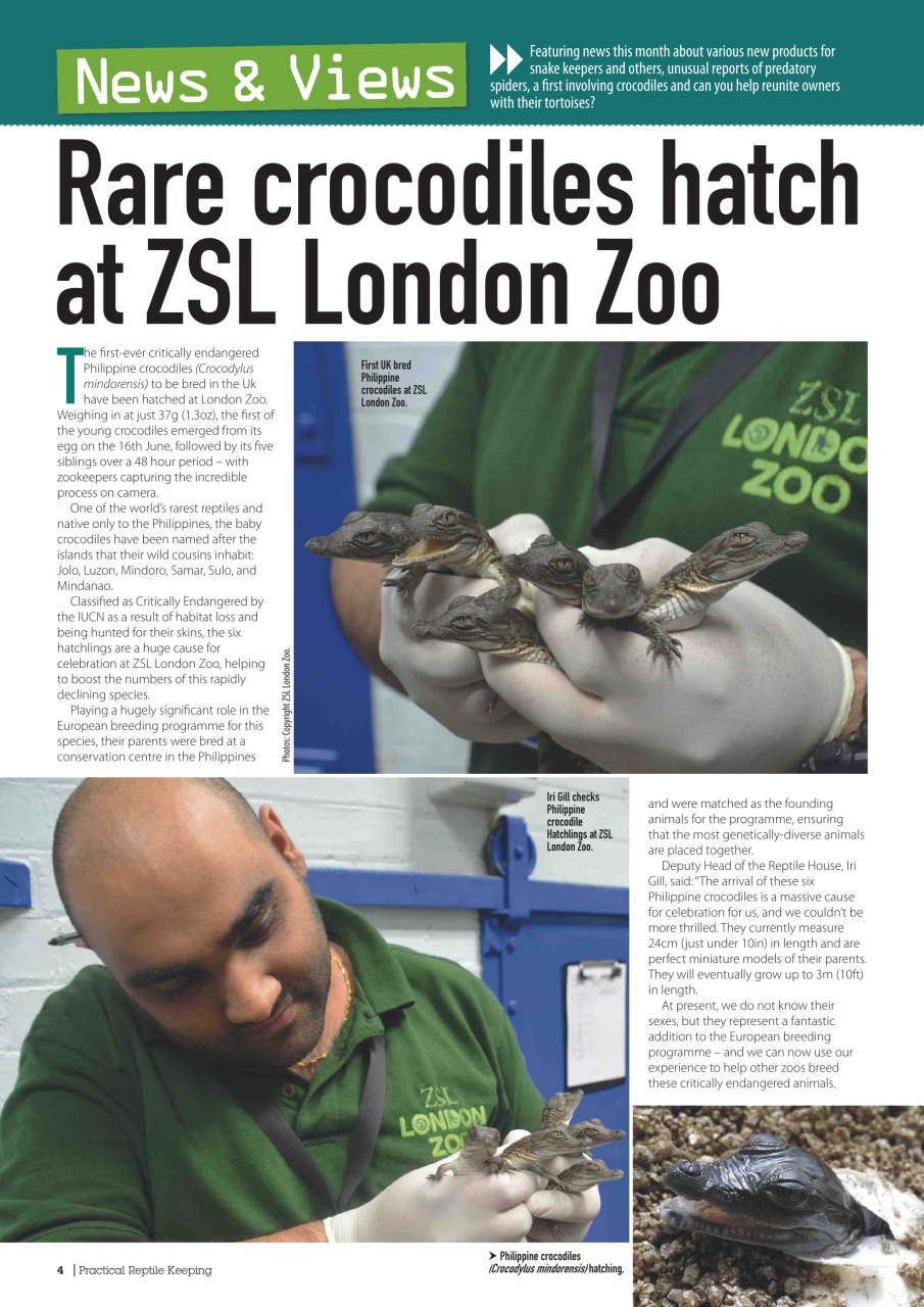 Practical Reptile Keeping Preview Pages