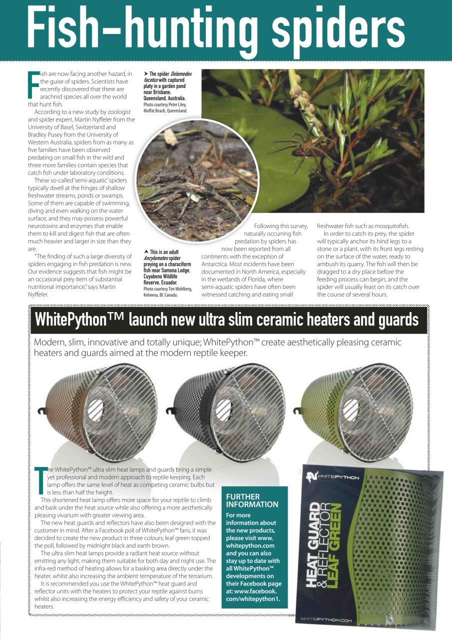 Practical Reptile Keeping Preview Pages