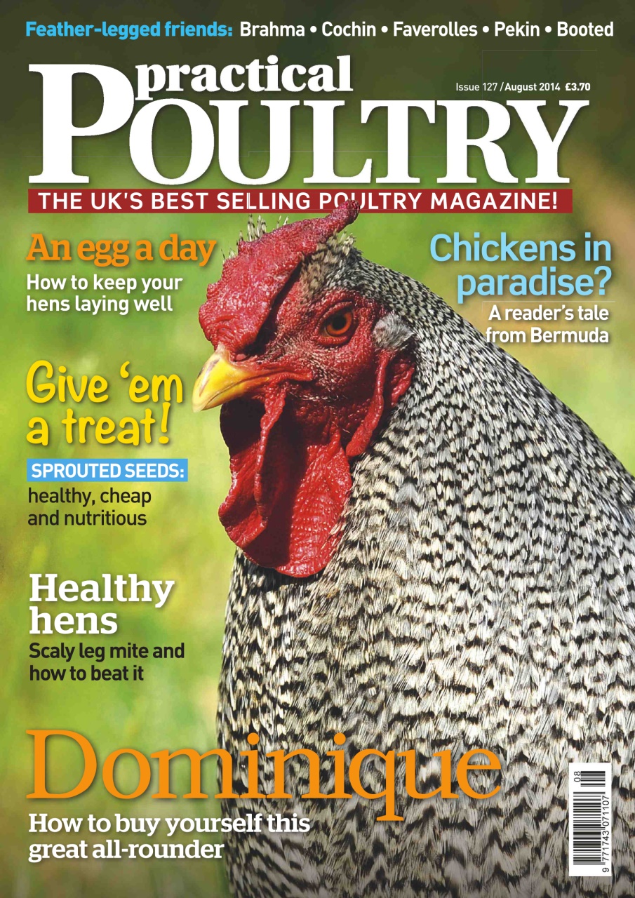 Practical Poultry Preview Pages