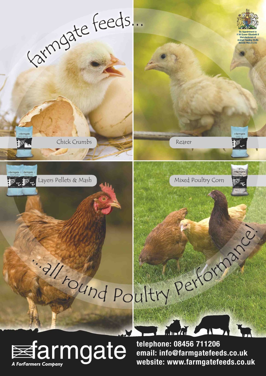 Practical Poultry Preview Pages