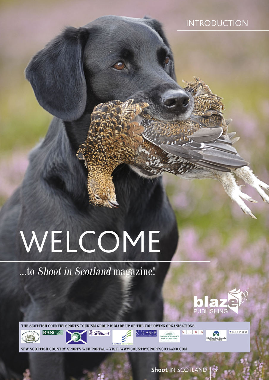 Shoot in Scotland Preview Pages