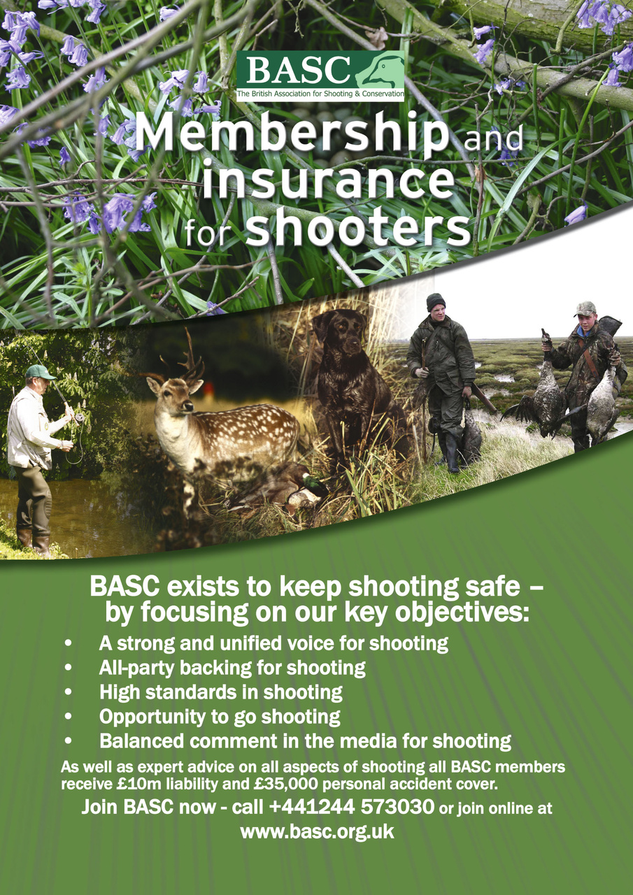 Shoot in Scotland Preview Pages