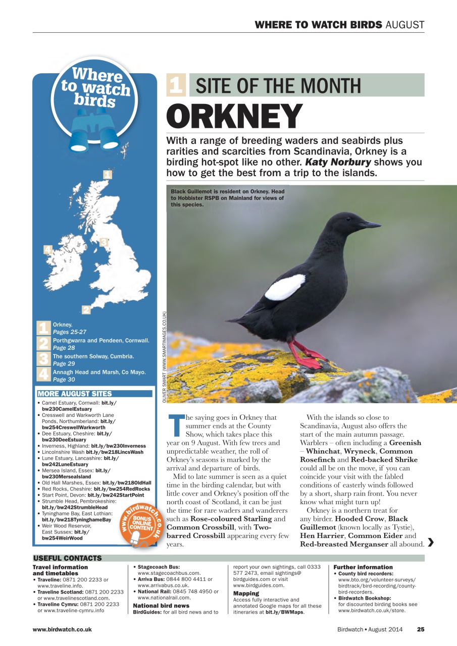 Birdwatch Magazine Preview Pages