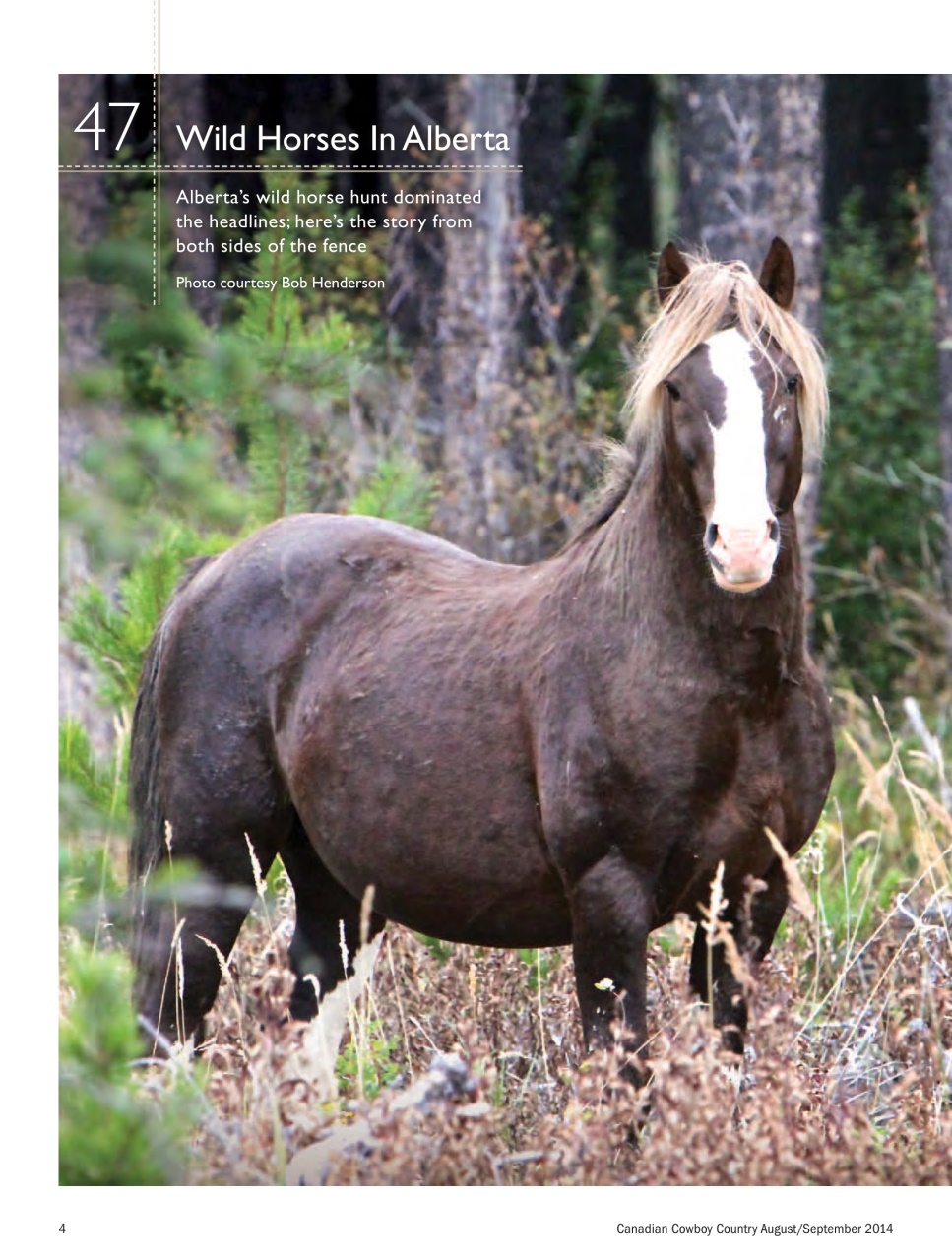 Canadian Cowboy Country Preview Pages