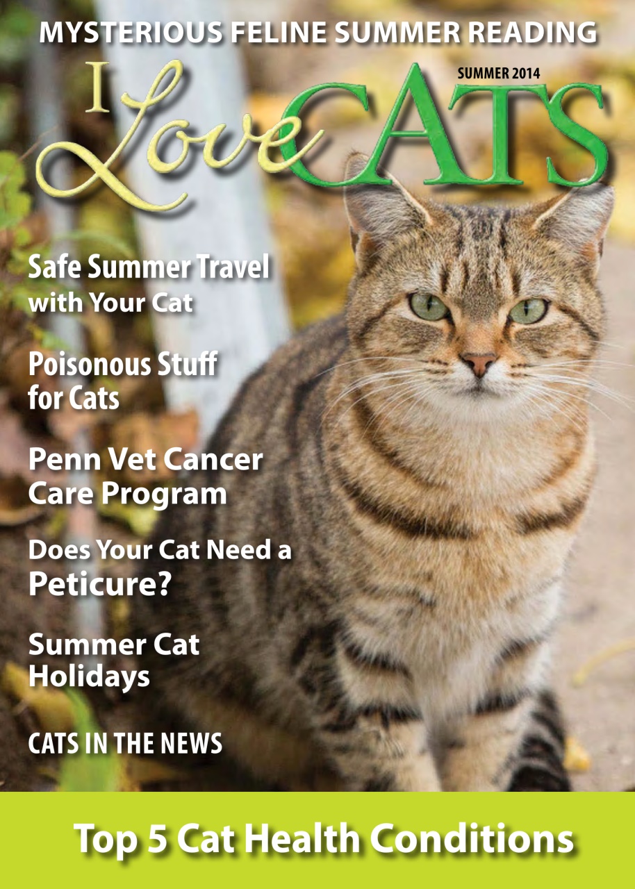 I Love Cats Preview Pages