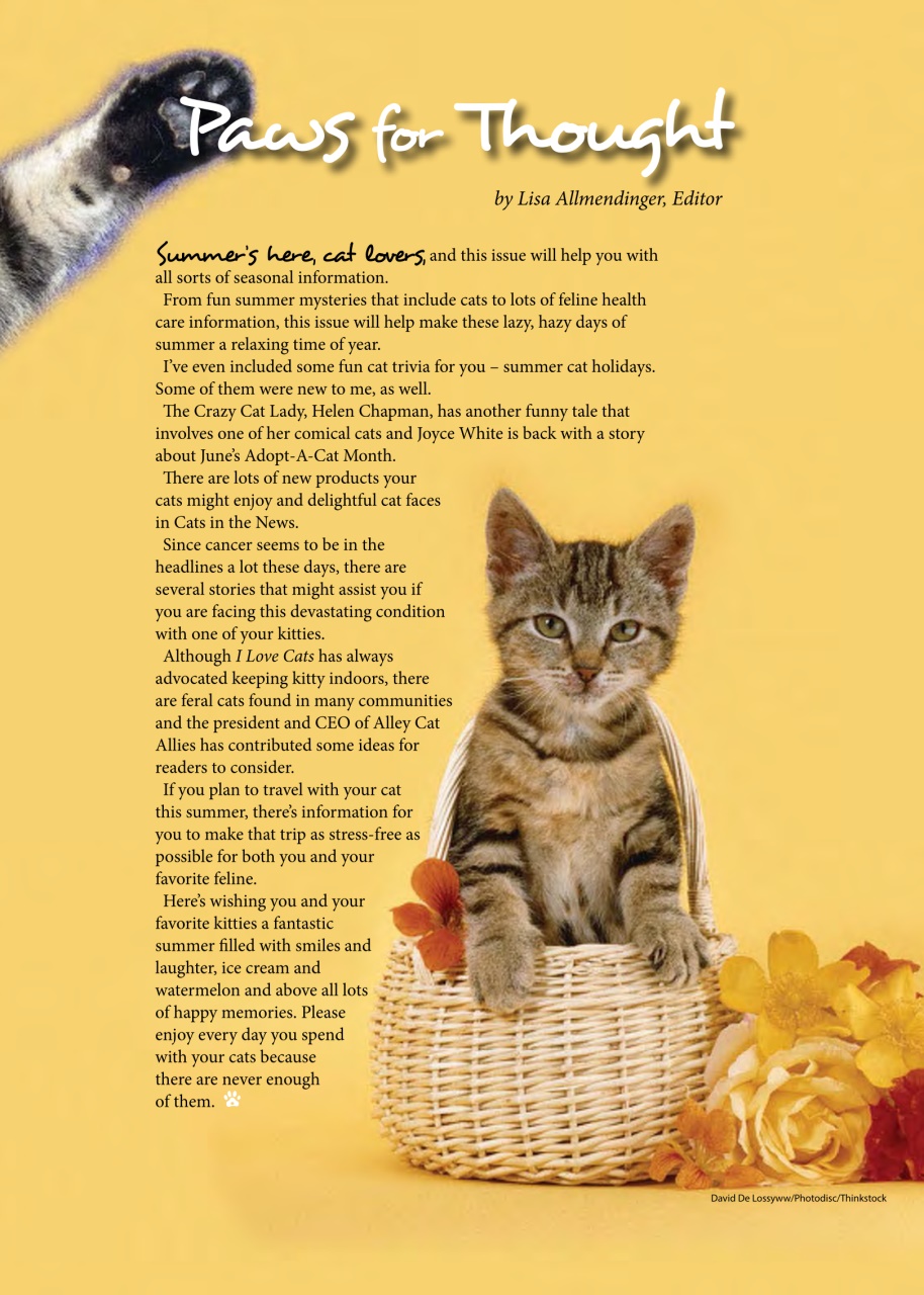 I Love Cats Preview Pages