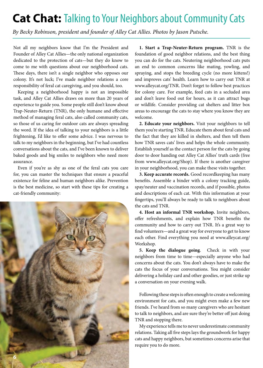 I Love Cats Preview Pages