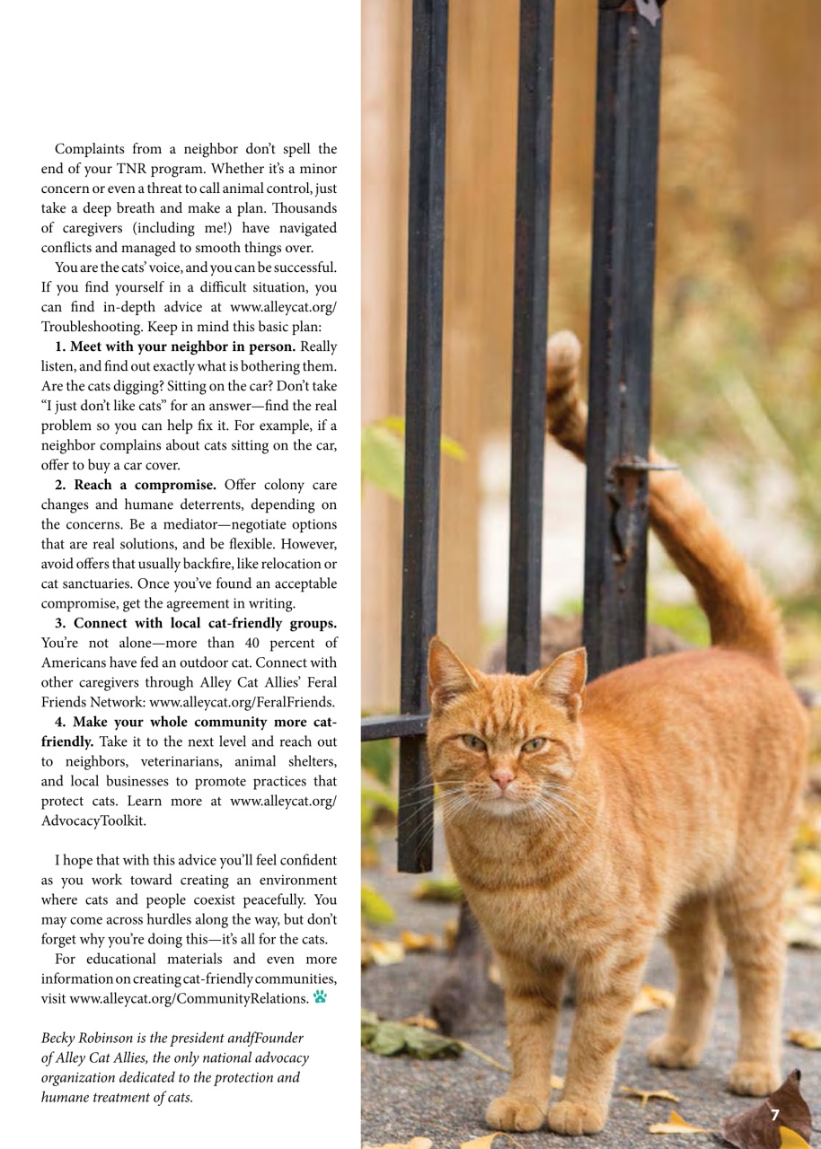 I Love Cats Preview Pages