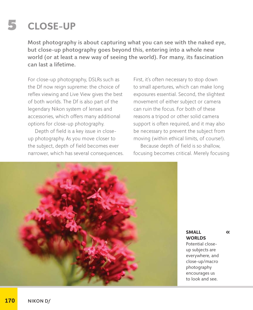 Outdoor Photography Preview Pages