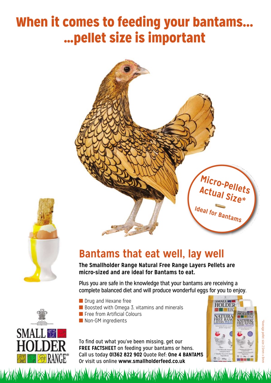 Kitchen Garden Magazine Preview Pages