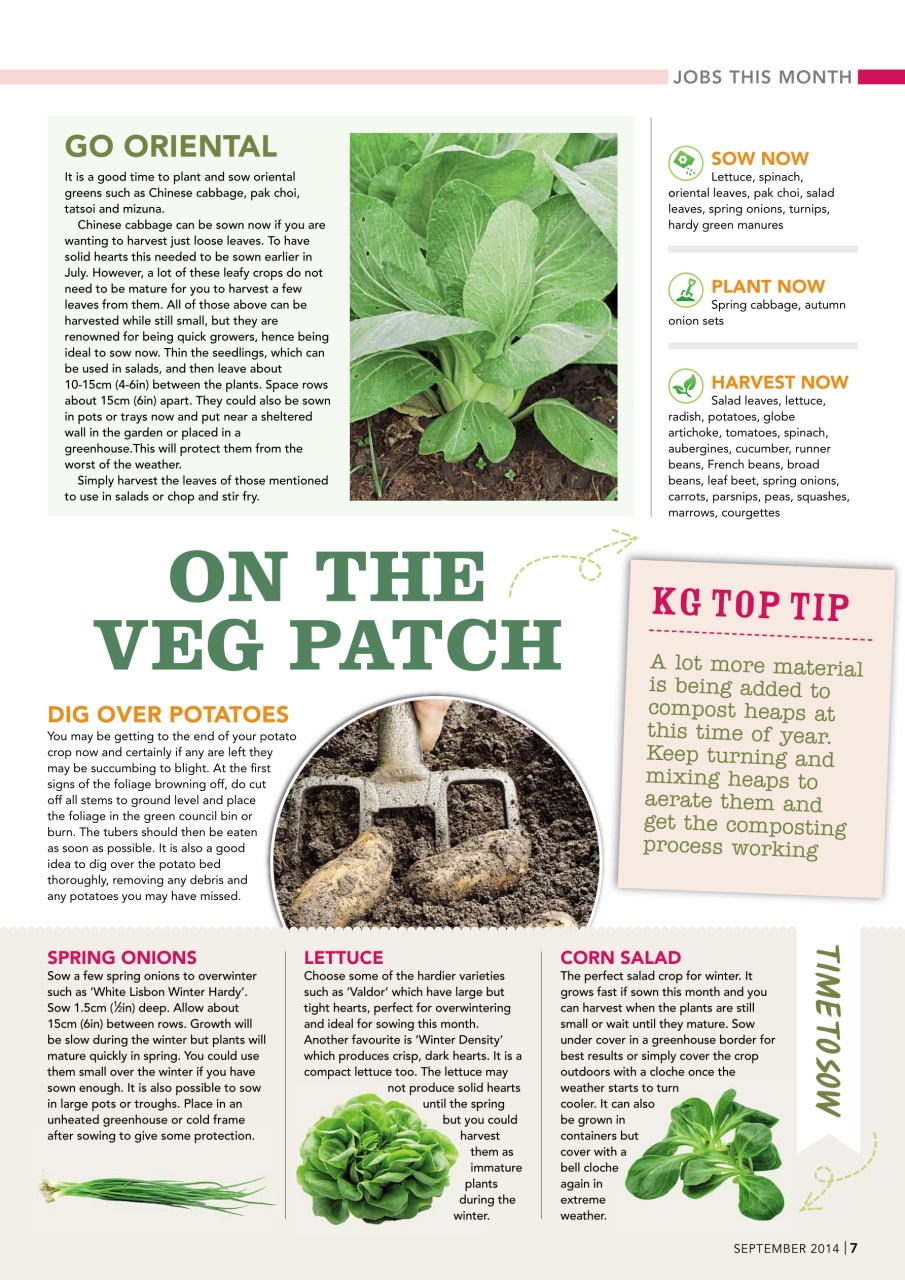Kitchen Garden Magazine Preview Pages