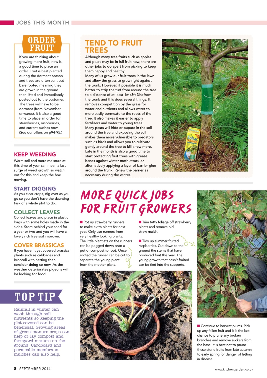 Kitchen Garden Magazine Preview Pages