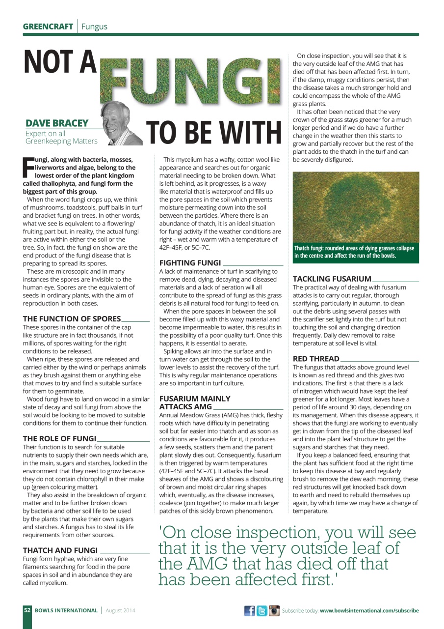 Bowls International Preview Pages