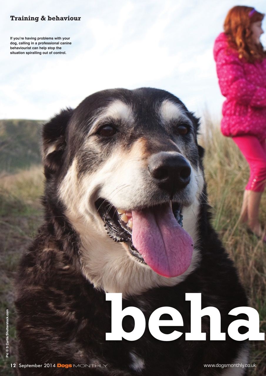 Dogs Monthly Preview Pages