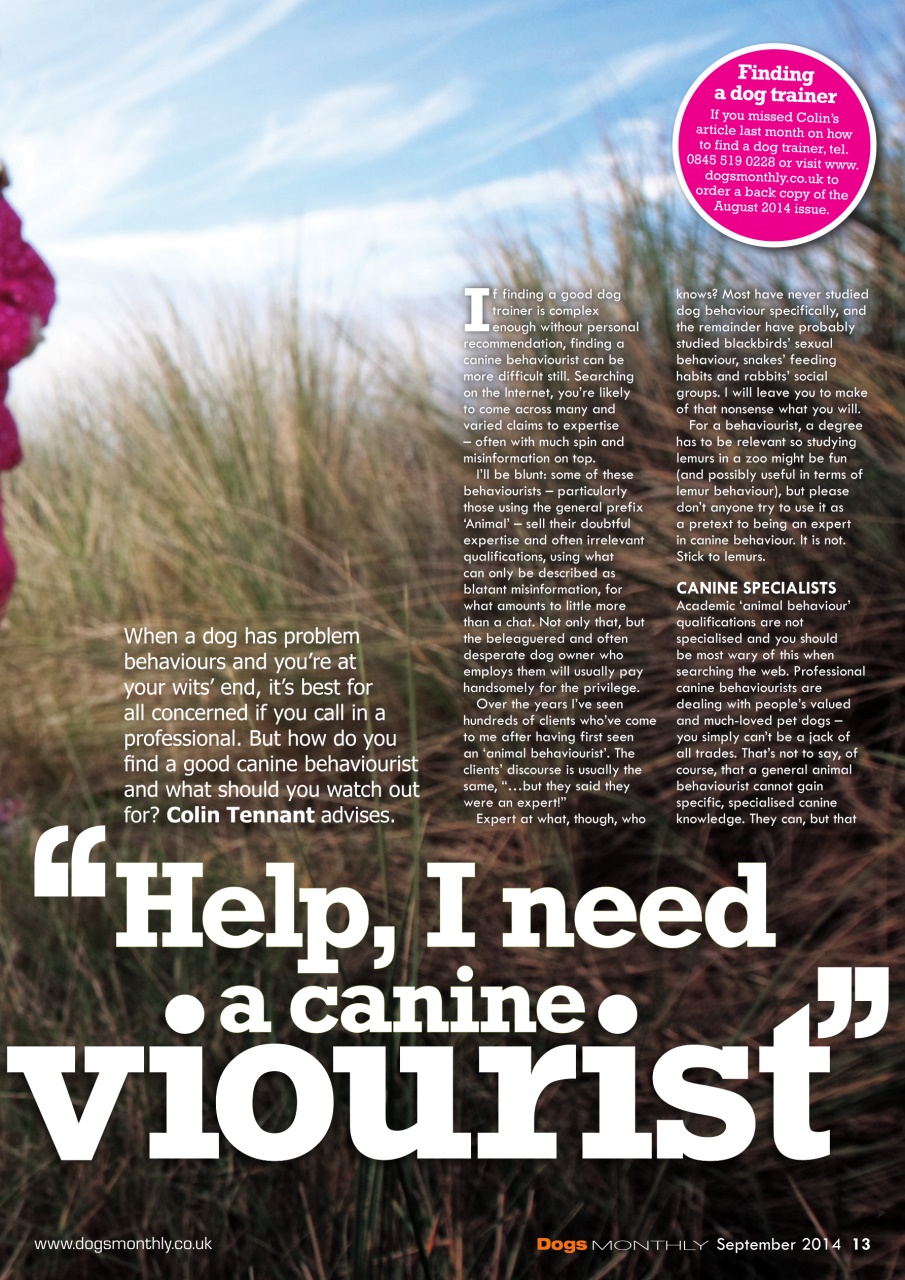 Dogs Monthly Preview Pages