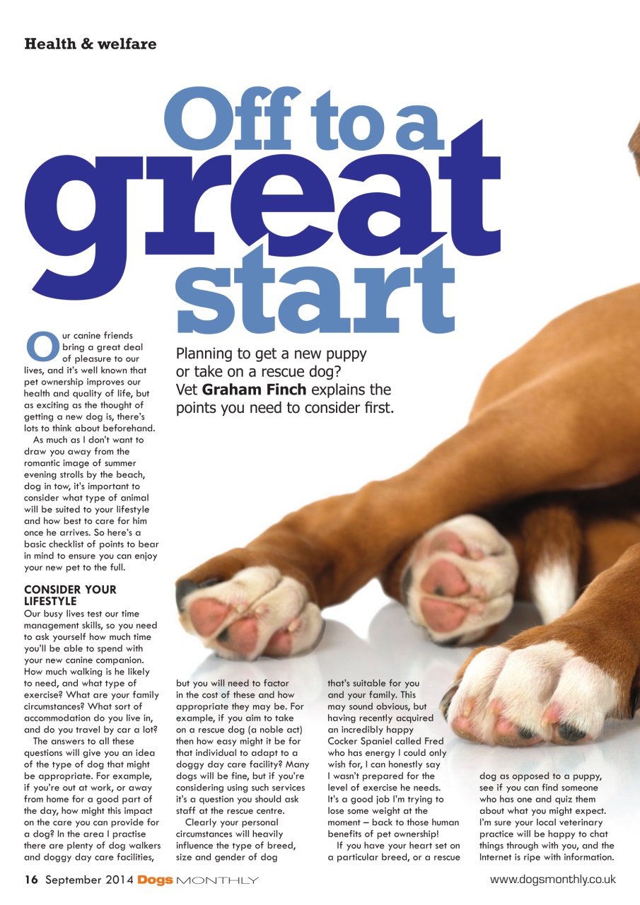 Dogs Monthly Preview Pages