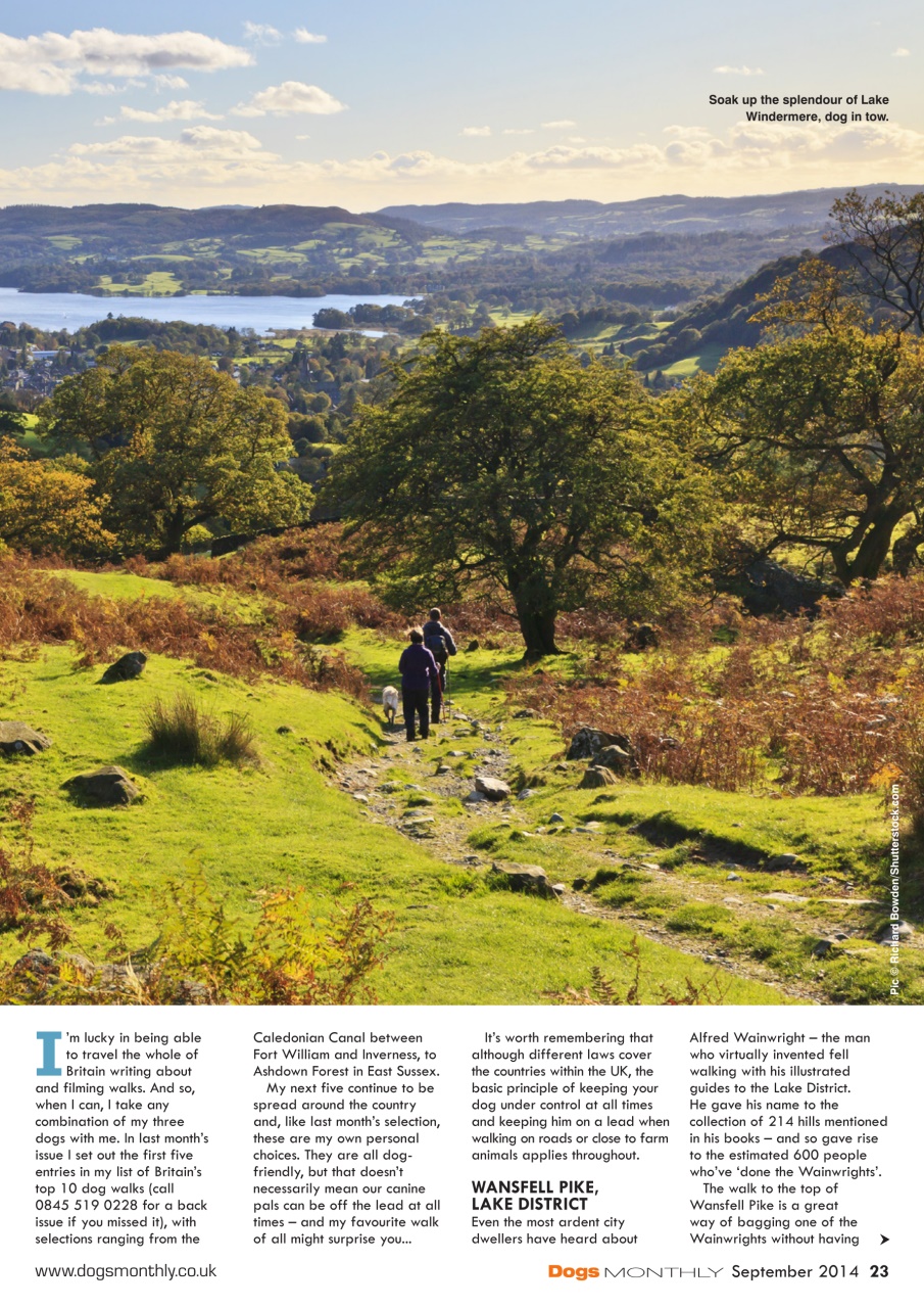 Dogs Monthly Preview Pages