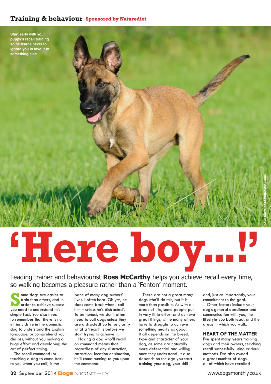 Dogs Monthly Preview Pages