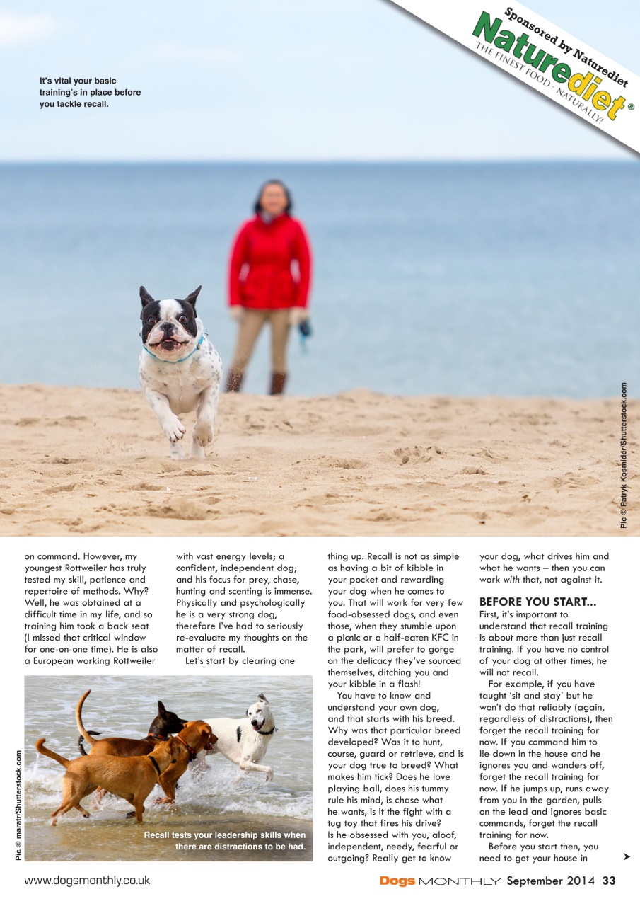 Dogs Monthly Preview Pages