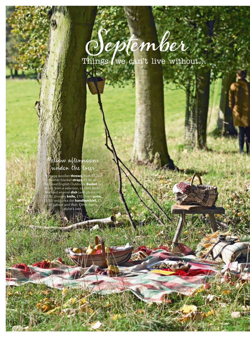 Country Homes & Interiors Preview Pages