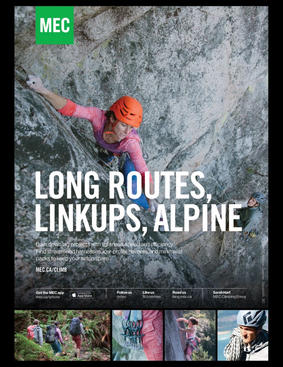 Gripped Preview Pages